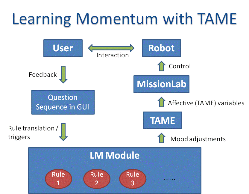 Learning momentum with TAME